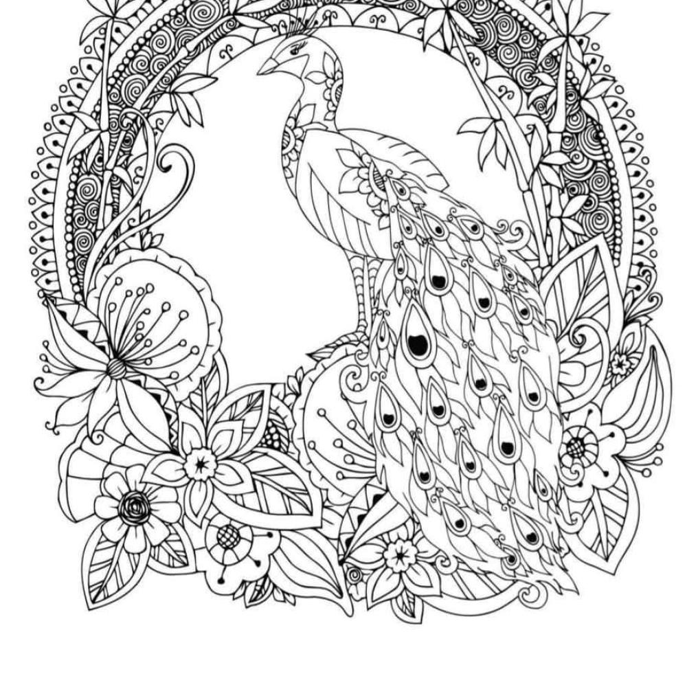 كتاب مانديلا