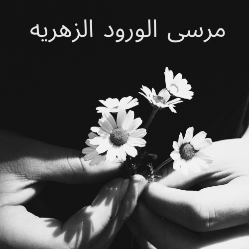 قصة نجاح قصة نجاح