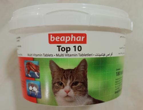 توب تن للقطط