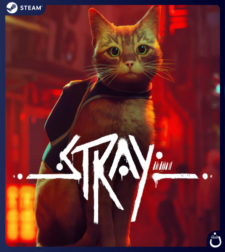 Stray | حساب مشترك PC