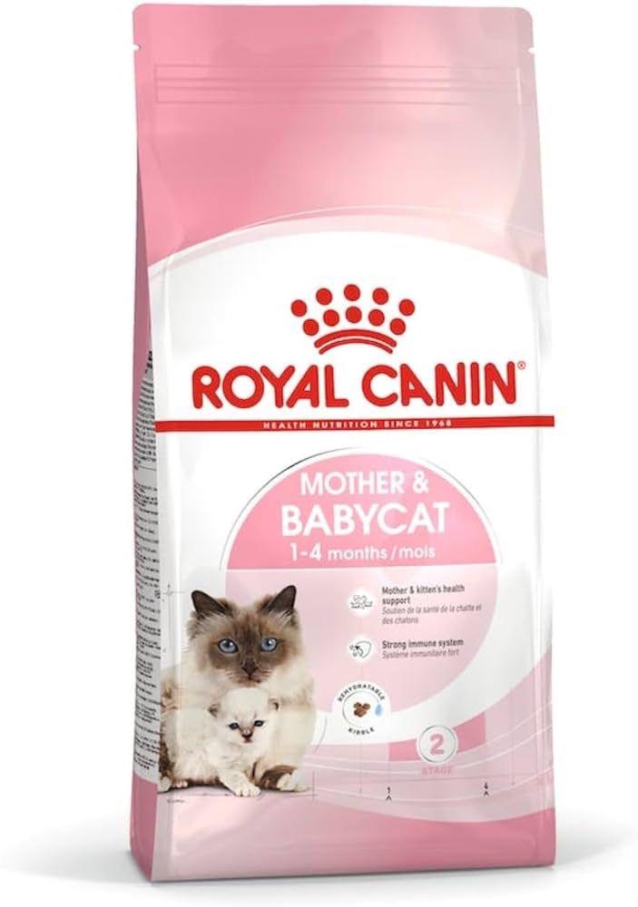 Cat food for nursing mothers 2025