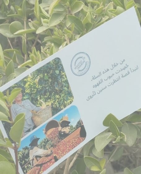 حصاد التدشين