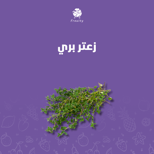 زعتر بري - ربطة