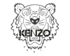 كنزو