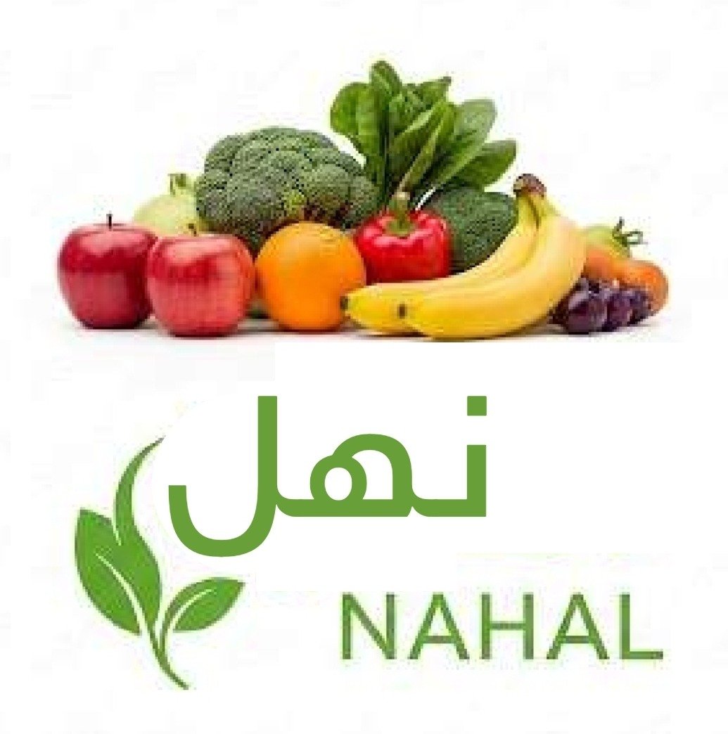 nahal-321.com favicon