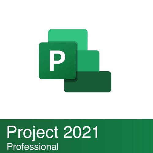 Project 2021 Professional 32/64 bit