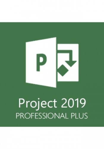 Microsoft Project Professional 2019