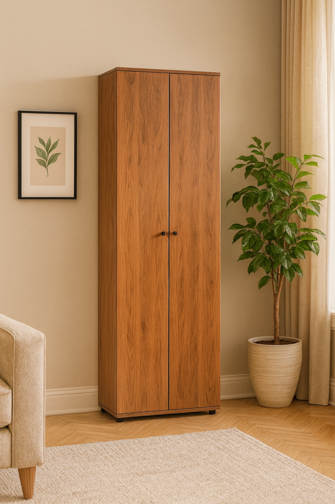 دولاب جزم 2 باب