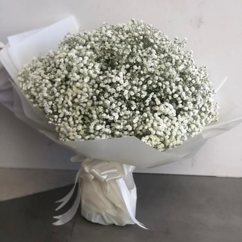 باقة الجيبسوفيليا