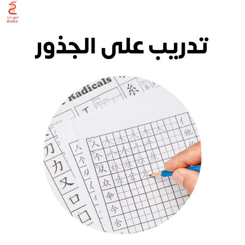تدريب على كتابة الجذور