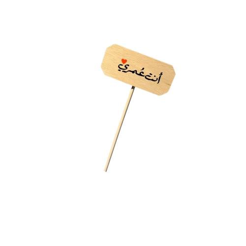 تغريسة أنت عمري