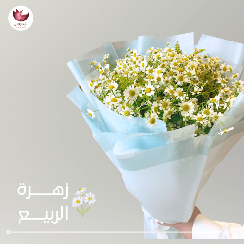 زهرة الربيع
