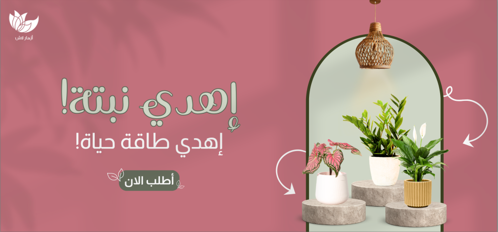 نباتات داخلية