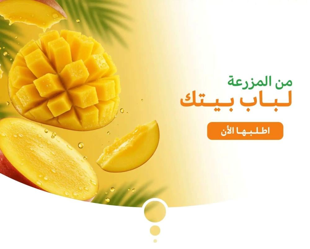 افضل انواع المانجو في السعودية