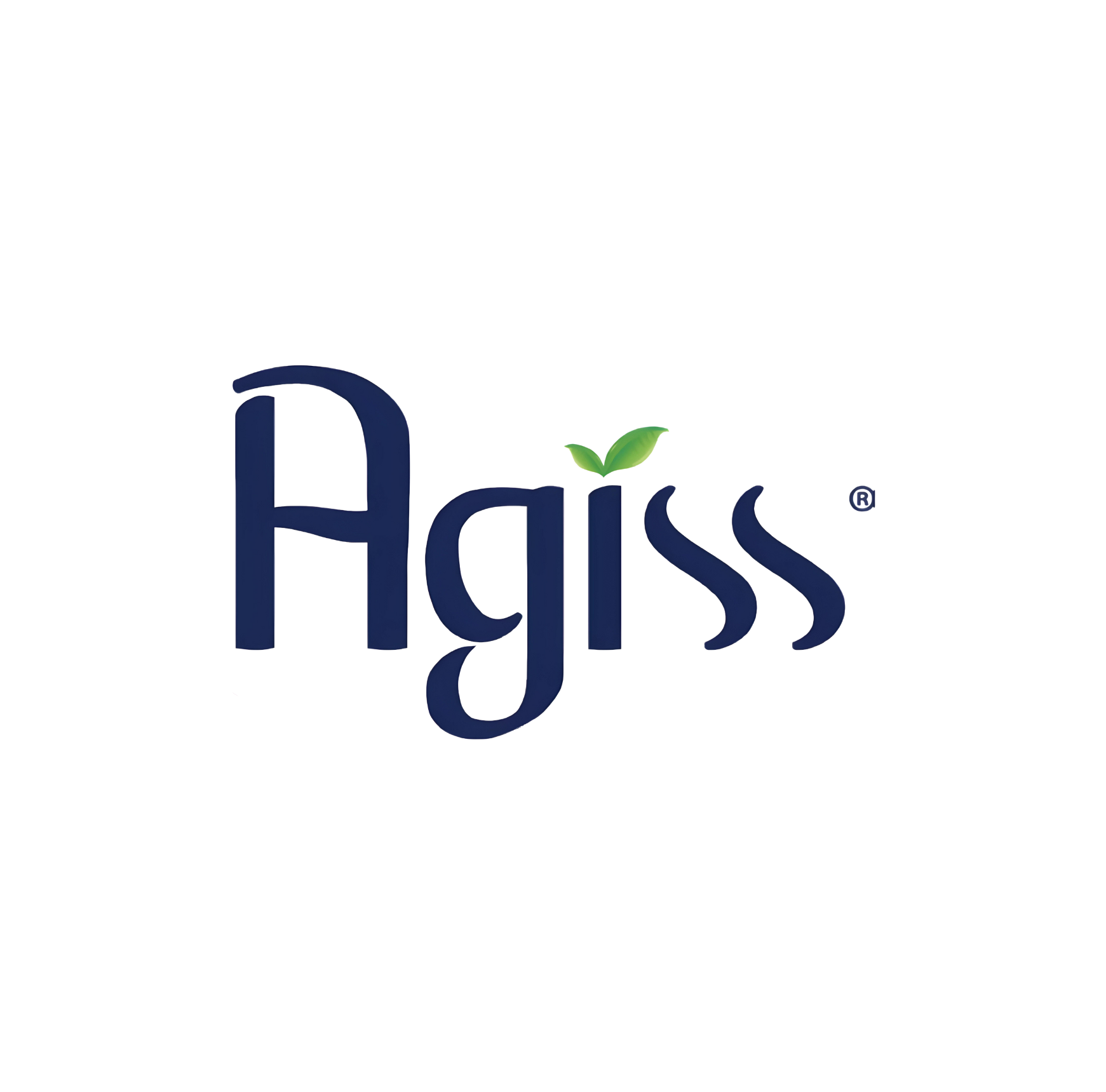 Agiss