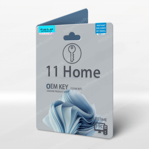 ويندوز 11 برو OEM