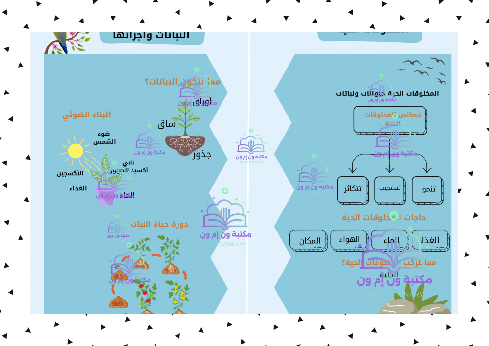 مطوية علوم -ثالث ابتدائي -الترم الأول