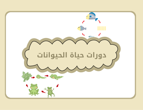مطوية علوم ثالث ابتدائي الترم الأول