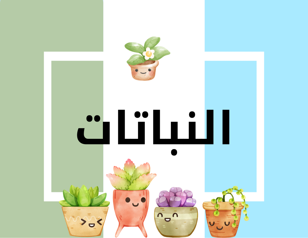 مطوية علوم خامس ابتدائي (النباتات) الترم الأول