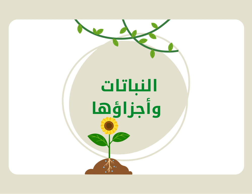 مطوية علوم ثالث ابتدائي (النباتات وأجزاؤها) الترم الأول