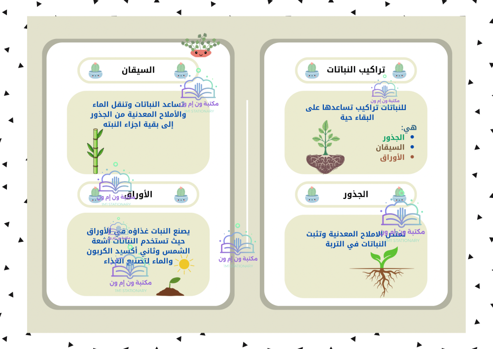 مطوية علوم ثالث ابتدائي (النباتات وأجزاؤها) الترم الأول