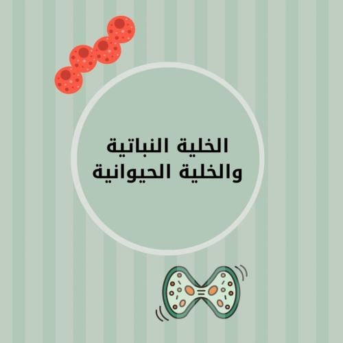 مطوية علوم سادس ابتدائي (الخلية النباتية والخلية ا...