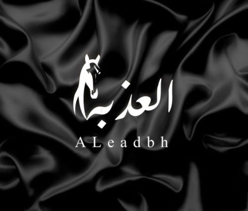 store avatar
