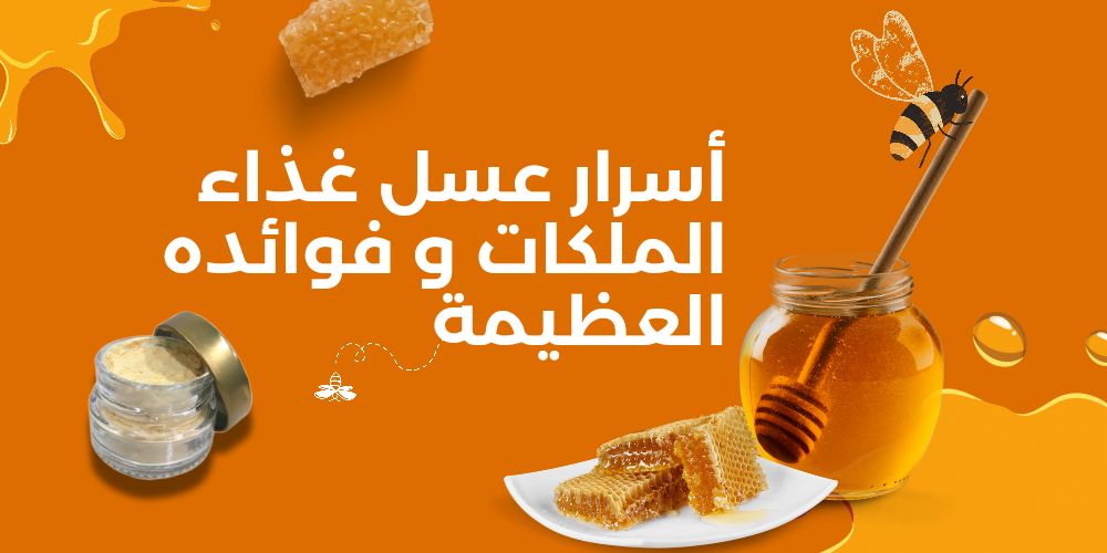 أسرار عسل غذاء الملكات وفوائده العظيمة