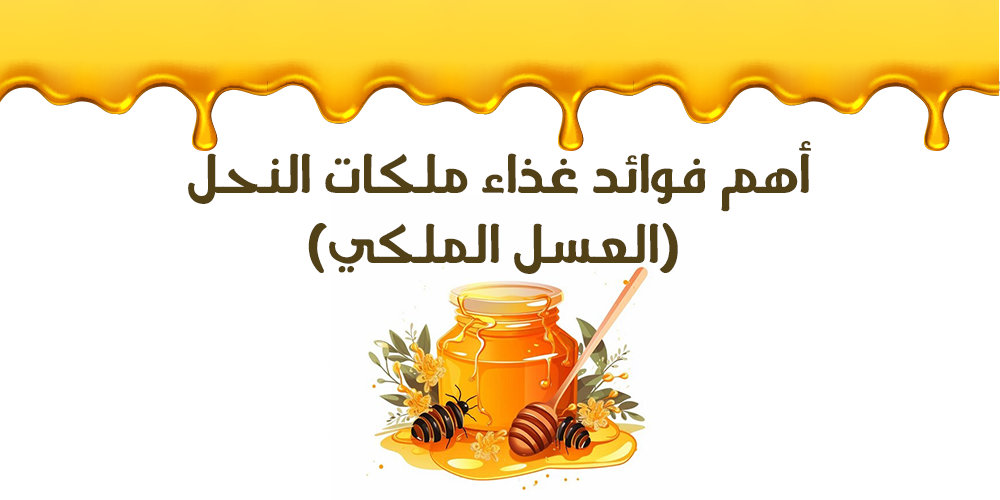 أهم فوائد غذاء ملكات النحل (العسل الملكي)