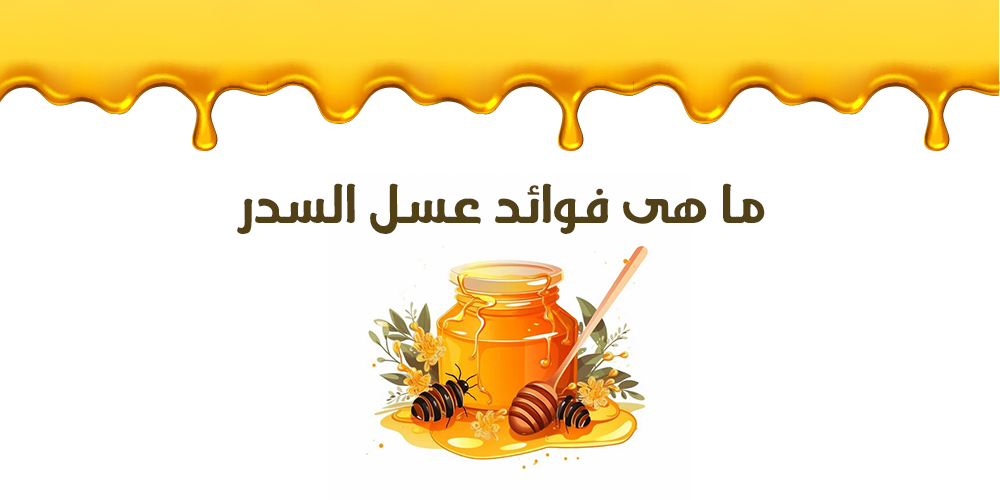 ما هى فوائد عسل السدر البلدي في شهد النحل