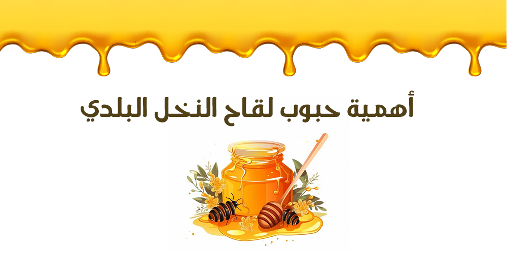 أهمية حبوب لقاح النخل البلدي