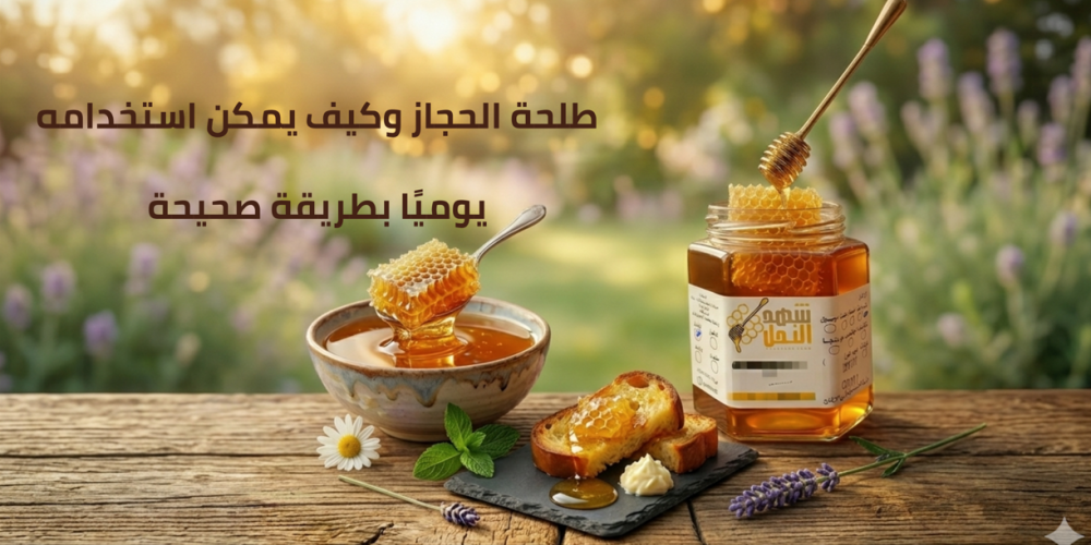 طلحة الحجاز وكيف يمكن استخدامه يوميًا بطريقة صحيحة