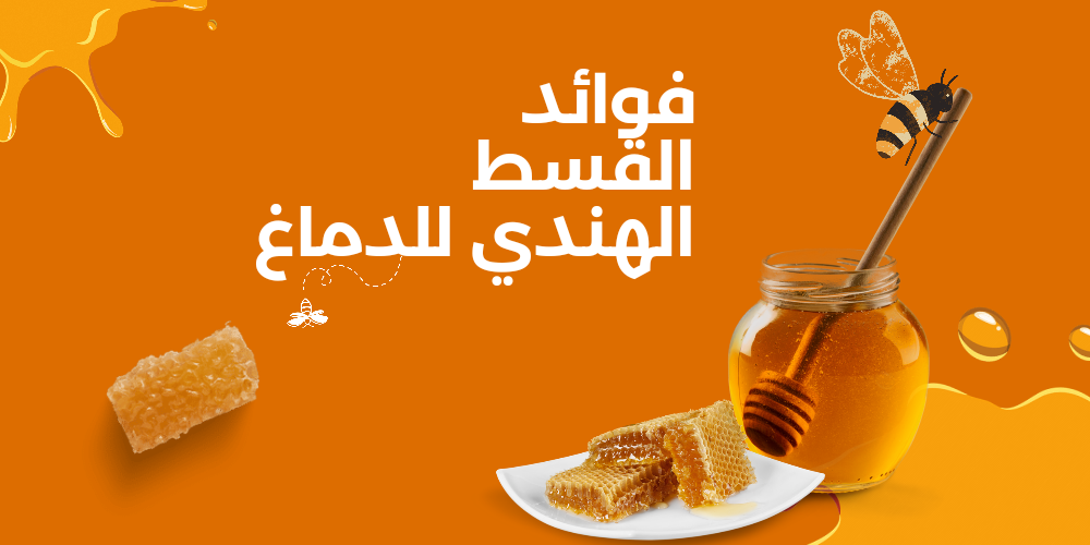 فوائد القسط الهندي للدماغ