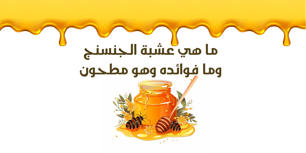 ما هي عشبة الجنسنج وما فوائده وهو مطحون
