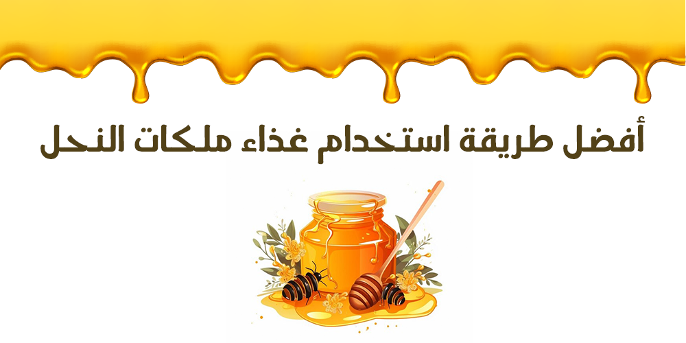 أفضل طريقة استخدام غذاء ملكات النحل