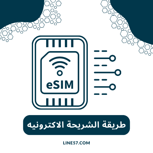 طريقة الشريحة الاكترونية