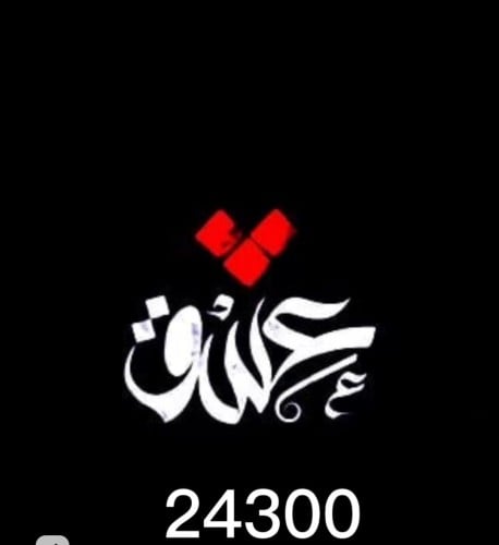 24300 ببجي العالمية