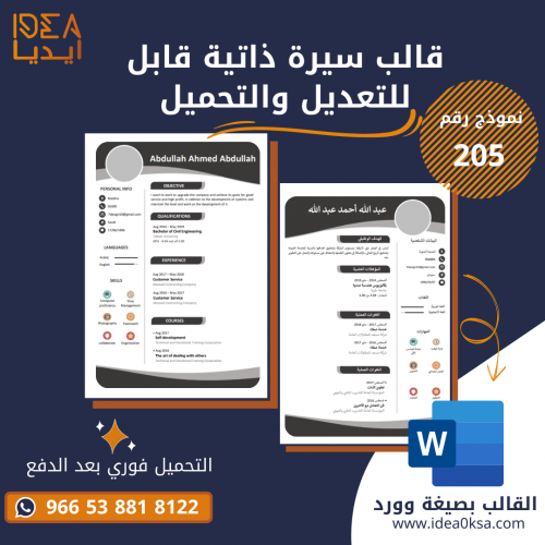 قالب سيرة ذاتية رقم (205) بصيغة وورد MS Word