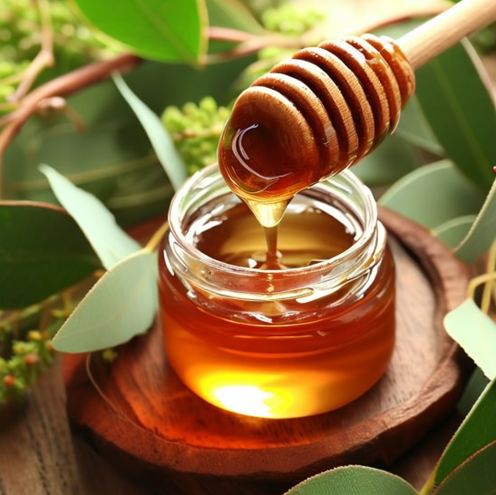 عسل الأوكالبتوس