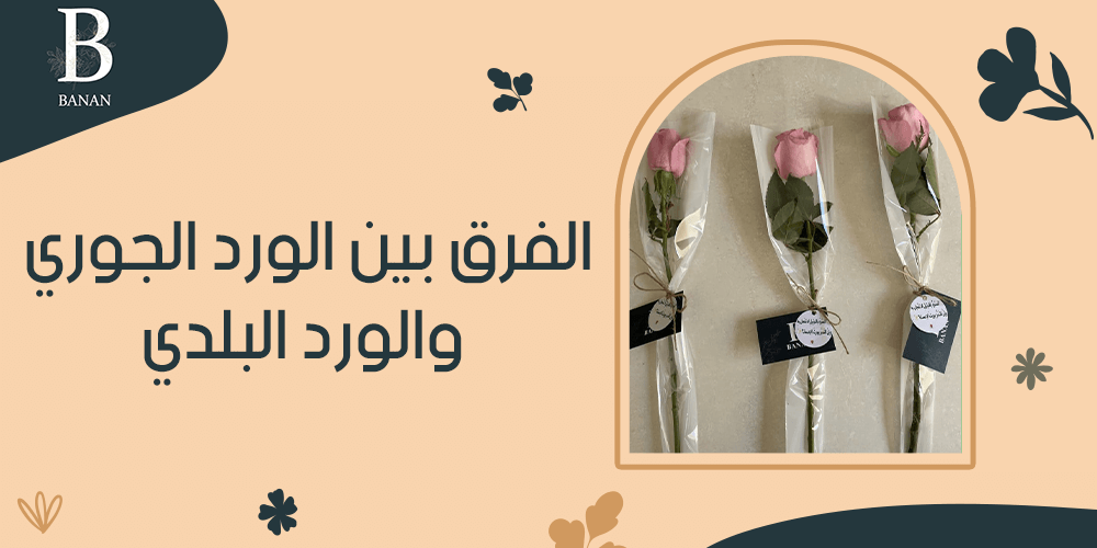 الفرق بين الورد الجوري والورد البلدي