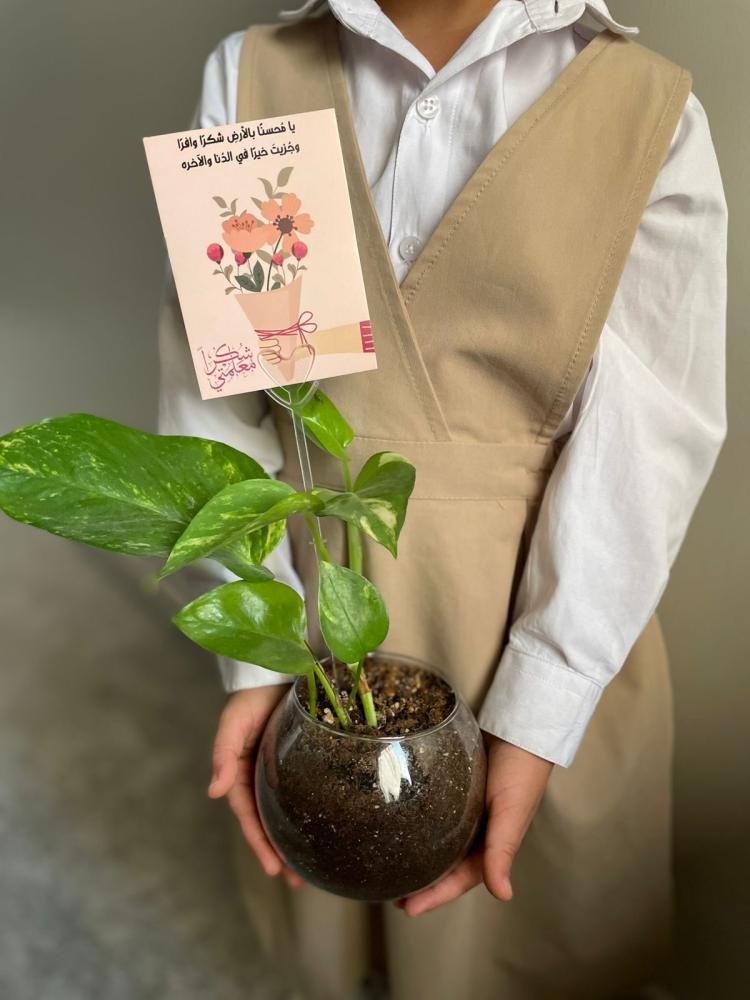 نبتة طبيعية مع كرت يوم المعلم