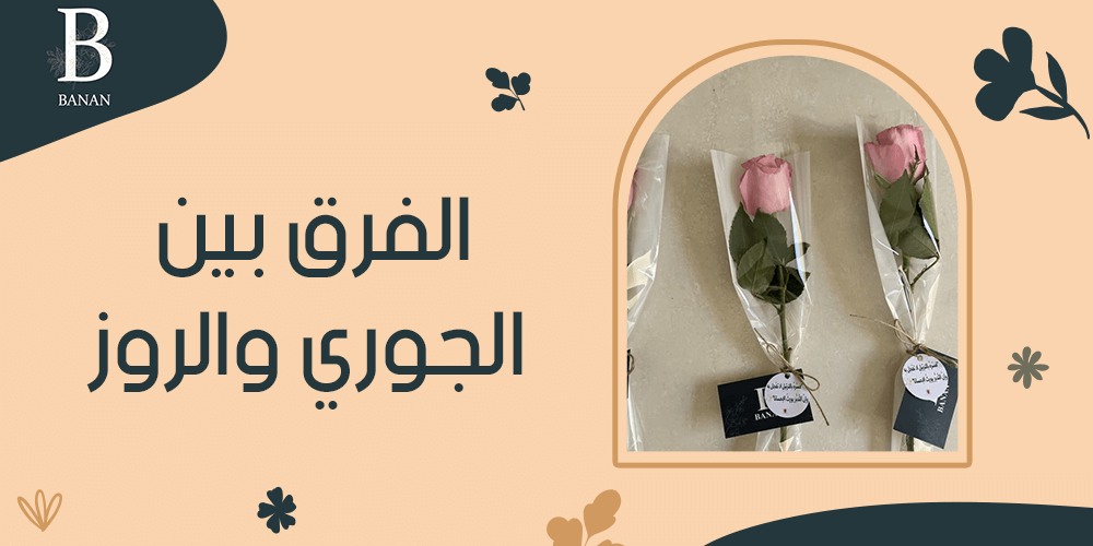 الفرق بين الجوري والروز