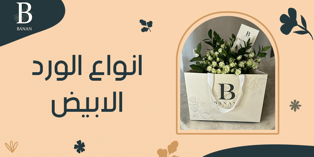 انواع الورد الابيض