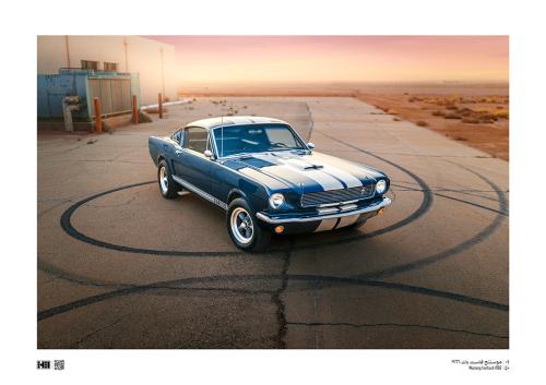 لوحة - Mustang Fastback Gt350 1966