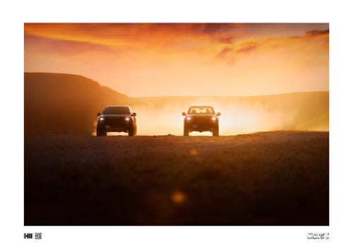 لوحة - Ford Raptors