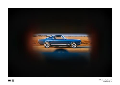 لوحة - Mustang Fastback Gt350 1966