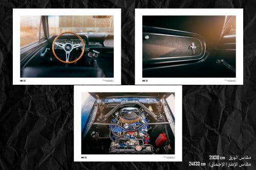 ثلاثية - Mustang Fastback Gt350 1966