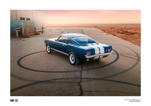 لوحة - Mustang Fastback Gt350 1966