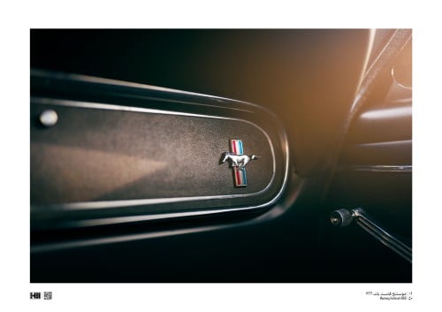 لوحة - تفاصيل Mustang Fastback Gt350 1966