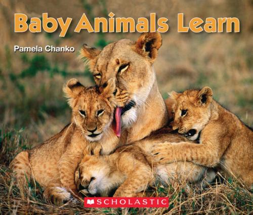 Baby Animals Learn